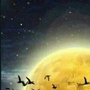 Meet your Posher, Estela